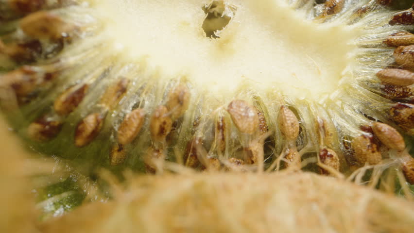 Extreme Close-Up of a Dried-Up Kiwi Cross-Section with Shrivelled Flesh and Darkened Seeds Showing Signs of Aging. Focus on Texture and Natural Decay.