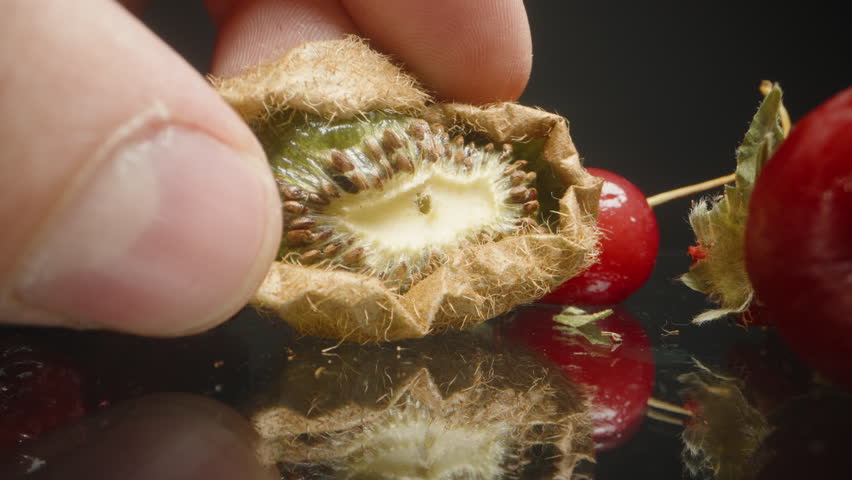 Close-Up of Dehydrated Kiwi with Hairy Skin and Darkened Center Among Dried Fruits on Reflective Black Surface. Hand Visible Holding One of the Fruits.