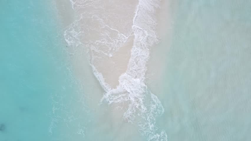 Shutterstock Video