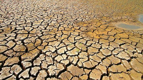 Dry Surface Cracked Earth Background Stock Photo 1257264016 | Shutterstock