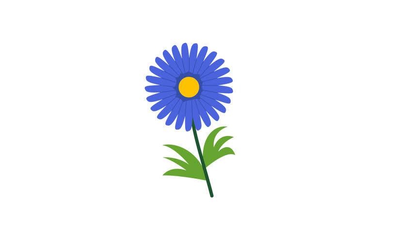 Vibrant Blue Aster Flower with Yellow Center and Green Leaves