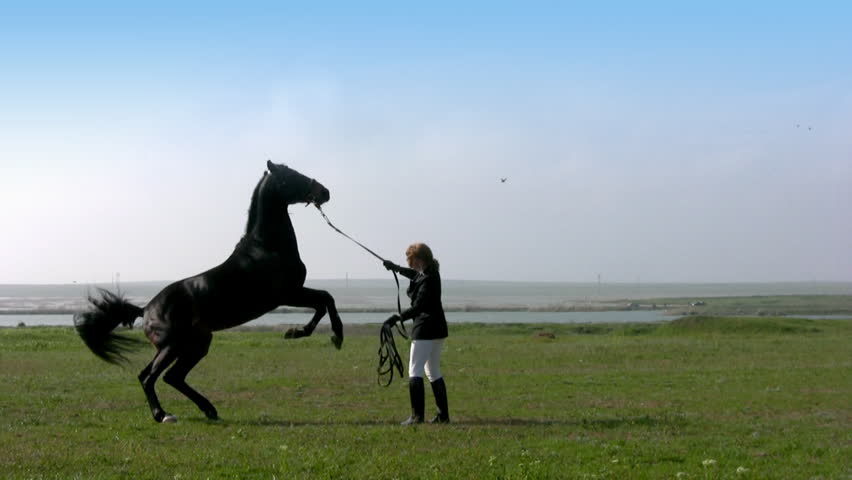 Summer. Steppe. Girl trains the horse