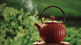 Steaming Teapot on wooden surface. Tea garden background outdoor - Powered by Shutterstock - Get 15% off with code: PIKWIZARD15