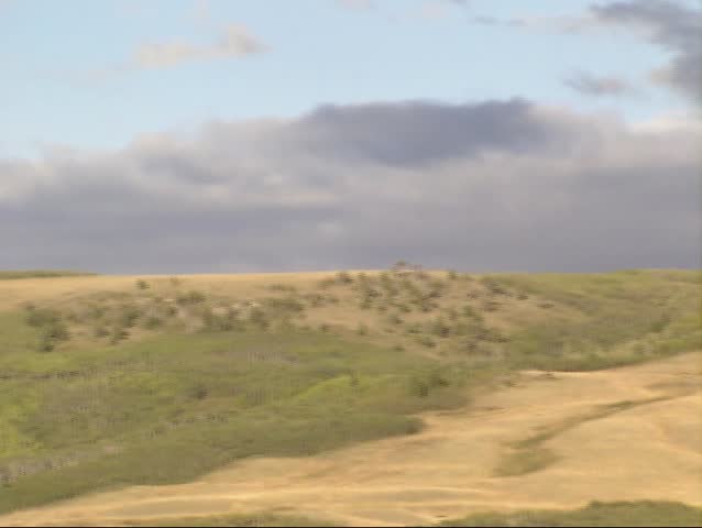  pan dark sky above prairie and forest in Northwest Montana