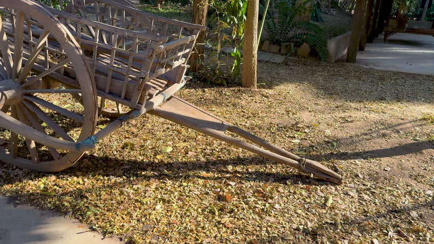 A wooden cart rests in a natural setting