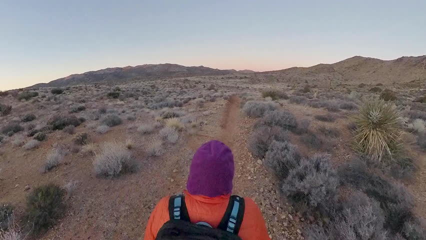 Woman in Bright Colors Hikes in Joshua Tree National Park