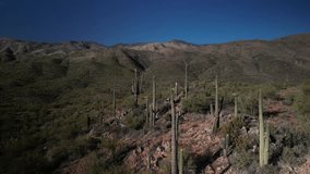 Low aerial flying through saguaro cactus in desert mountains near Phoenix Arizona - Powered by Shutterstock - Get 15% off with code: PIKWIZARD15