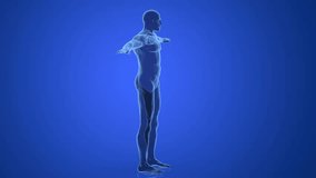 human body anatomy medical 3d animation - Powered by Shutterstock - Get 15% off with code: PIKWIZARD15