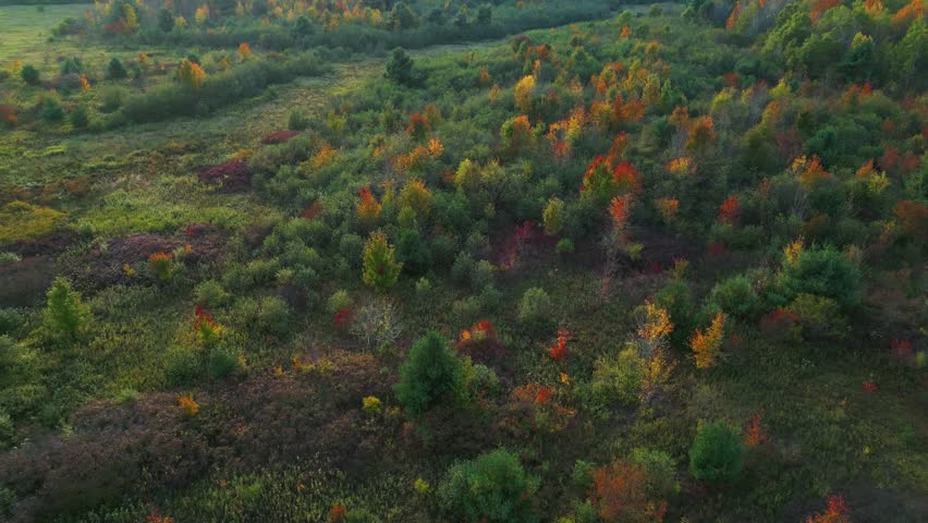 Early autumn aerial view in Wisconsin