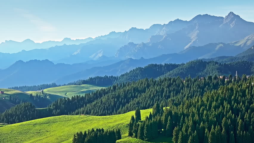 Aerial view of green grassland and forest with mountain natural landscape in Xinjiang. Beautiful natural scenery in Jiangbulake Scenic Area, China.