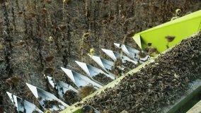 An agricultural tractor. Harvesting sunflower seeds. - Powered by Shutterstock - Get 15% off with code: PIKWIZARD15