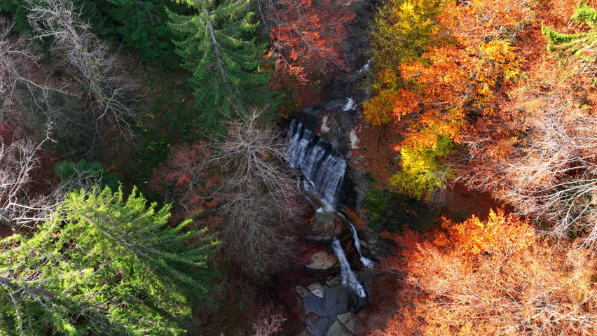Waterfall in an autumn woodland, framed by golden foliage, with flowing water cascading gently over rugged stones in a peaceful setting. Aerial nature video. Top-down view.