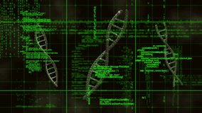 Animation of green data processing over three spinning and glowing dna strands on black background. Science, computing and digital interface concept digitally generated video. - Powered by Shutterstock - Get 15% off with code: PIKWIZARD15