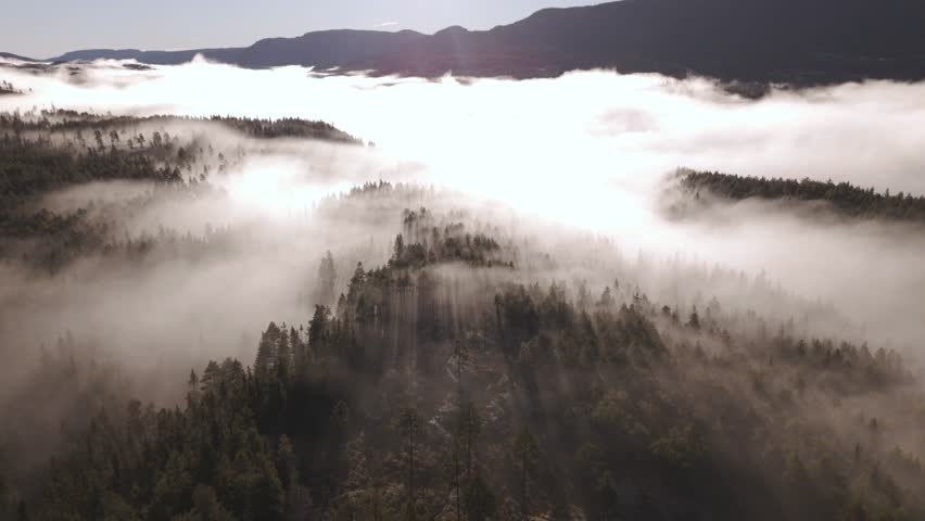 An aerial view of the forest landscape in Norway on a foggy day