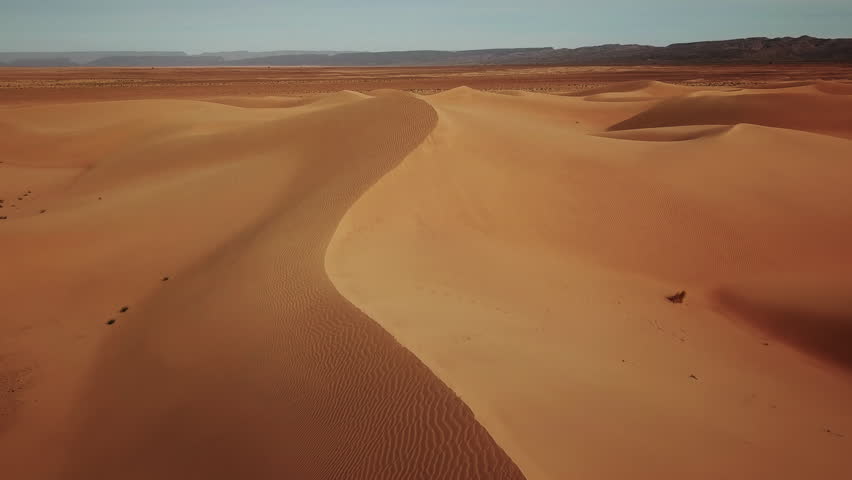 Shutterstock Video