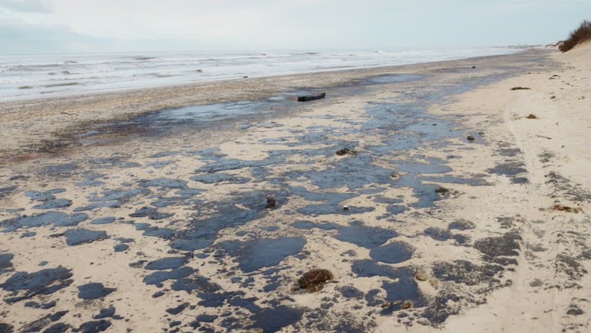 Beach and sea are polluted with fuel oil. Beach oil spill impact, pollution, waste disposal.