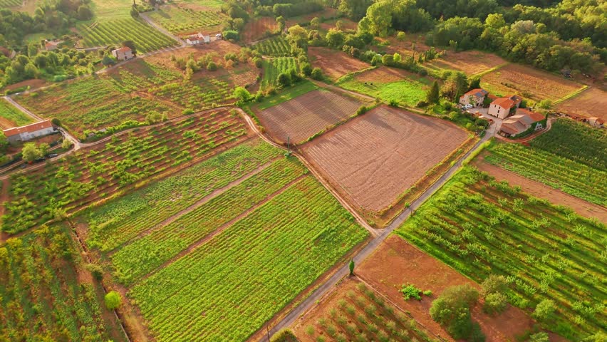 Beautiful countryside landscape in southern France during sunset. Aerial view of small patches of green fields and vineyards, showcasing agriculture and rural farming life.