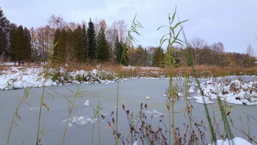 Frozen pond during winter day in Park Slaski full of snow - frozen lake