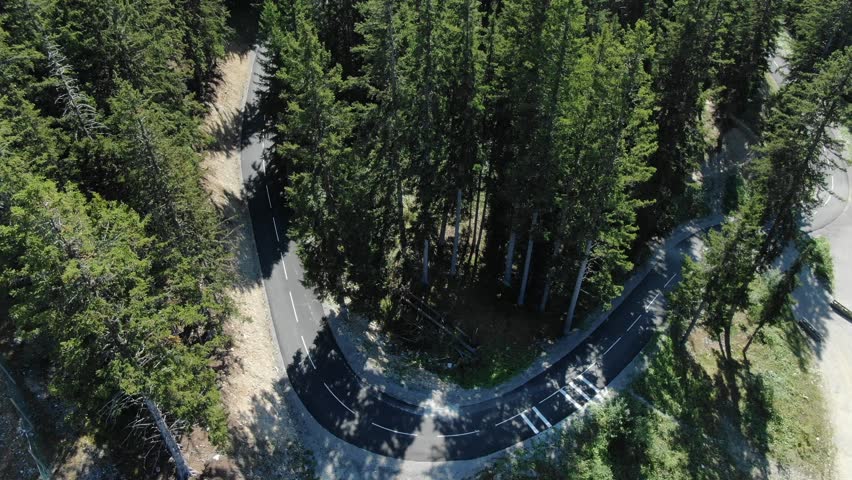 Asphalted and serpentine road crossing coniferous forest, Col de la Loze in France. Aerial top-down view