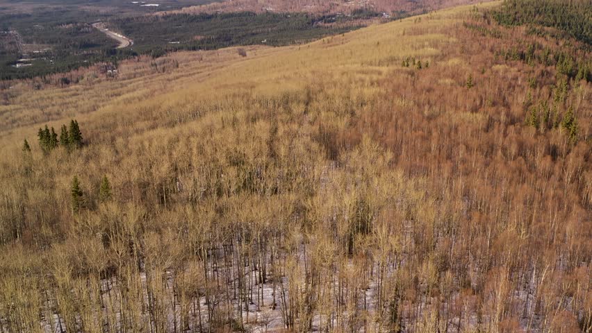 Wide Aerial View of an Alaskan Hill with the City of Fairbanks beyond