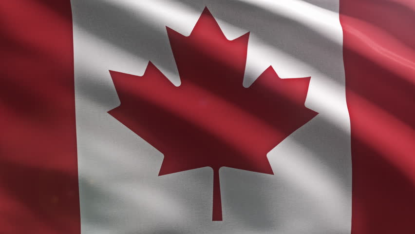 Waving the national flag symbol of Canada. Waving the state flag ensign of Canada in red and white colours. Waving the flag of Canada with a red maple leaf on the white band background.