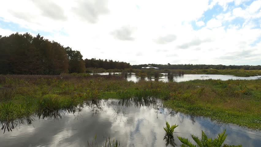 Dollying along the marsh with visitor center in the distance at Green Cay Wetlands Nature Preserve in Boynton Beach, Florida