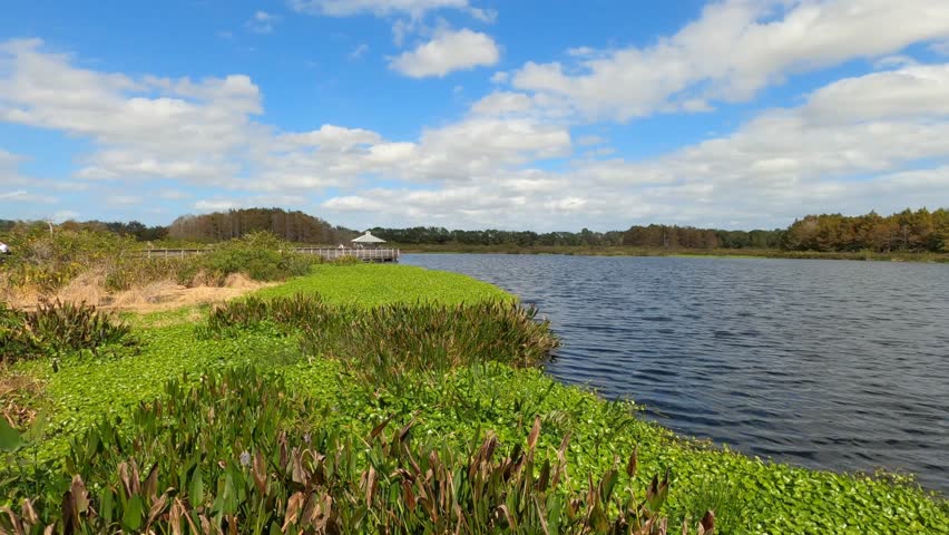 Dollying along the marsh at Green Cay Wetlands Nature Preserve in Boynton Beach, Florida in a sunny afternoon