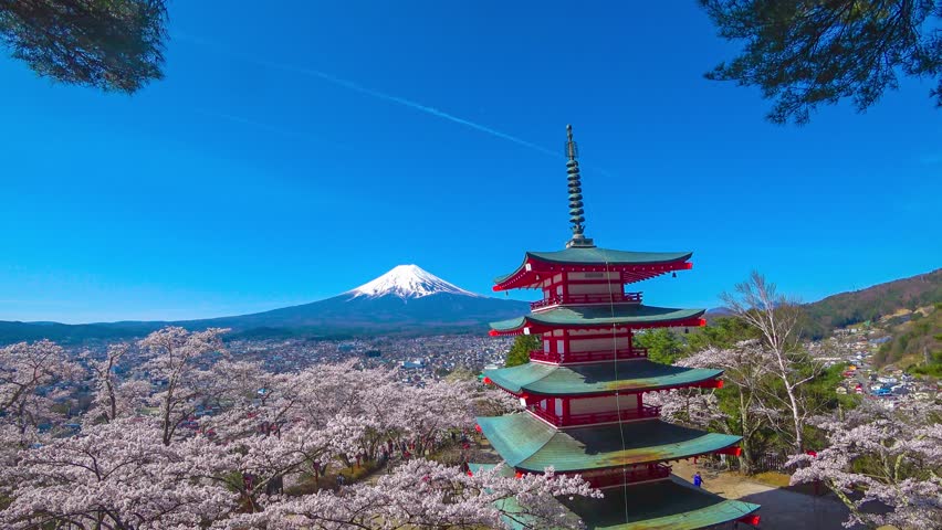 Spring in Japan - Mt. Fuji and cherry blossoms in full bloom
