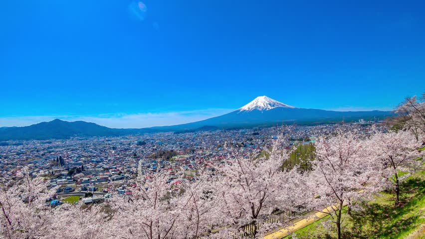 Spring in Japan - Mt. Fuji and cherry blossoms in full bloom