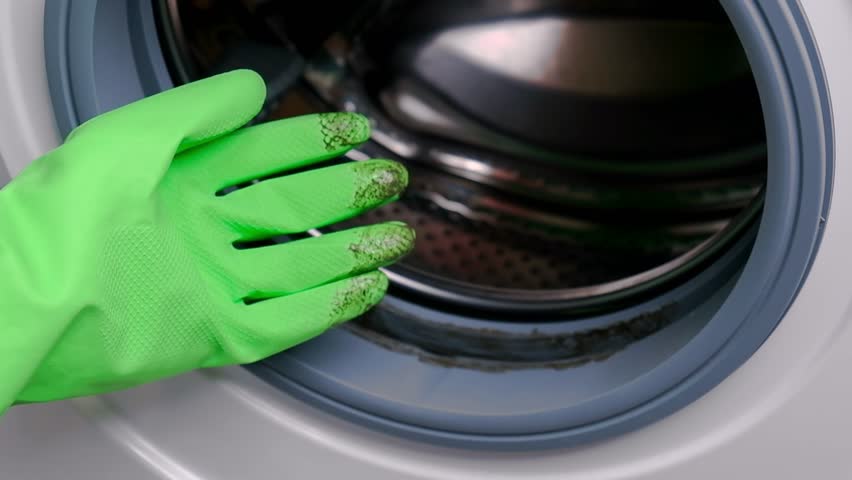 The person in green gloves checks the dirt on the rubber of a washing machine. Close-up of dirty rubber gasket with mold  on washing machine. Washing machine maintenance.