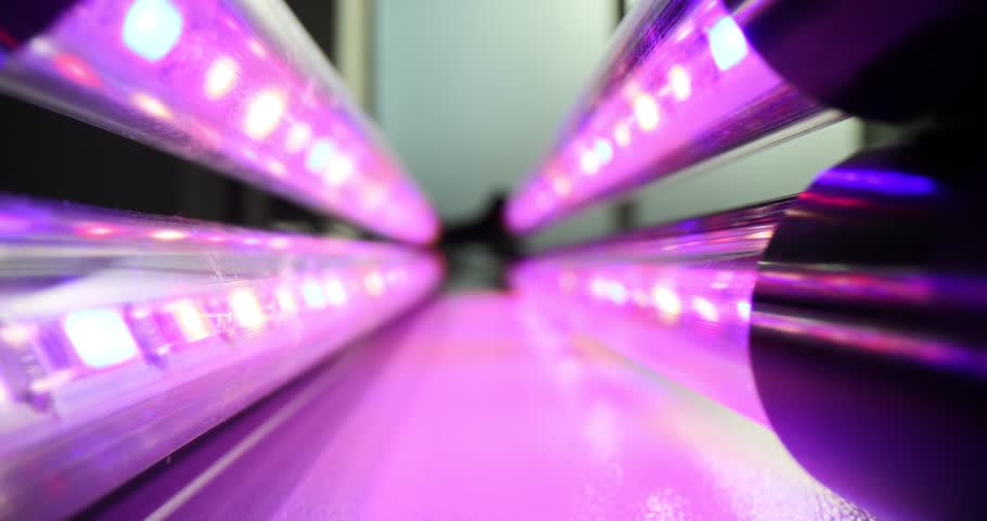 Colorful LED lights in a darkened room, showing visual effects. LED lamp for red spectrum plants. Purple lamps concept