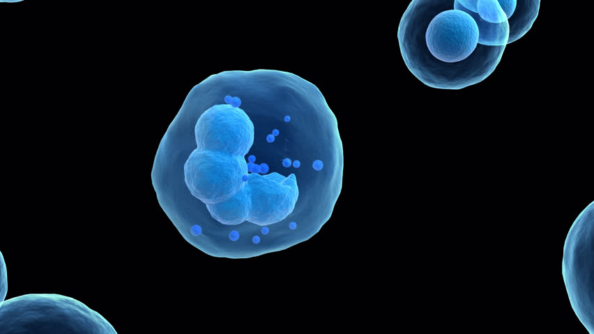 Cell cloning,cell Stages of mitosis. The mother cell reproduce by duplicating its contents and dividing into two new cells called daughter cells.3d animation.