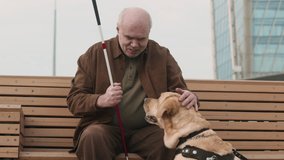 Tilt down shot of senior man with visual impairment sitting on wooden bench in street, holding cane and petting Labrador guide dog lying down beside him - Powered by Shutterstock - Get 15% off with code: PIKWIZARD15
