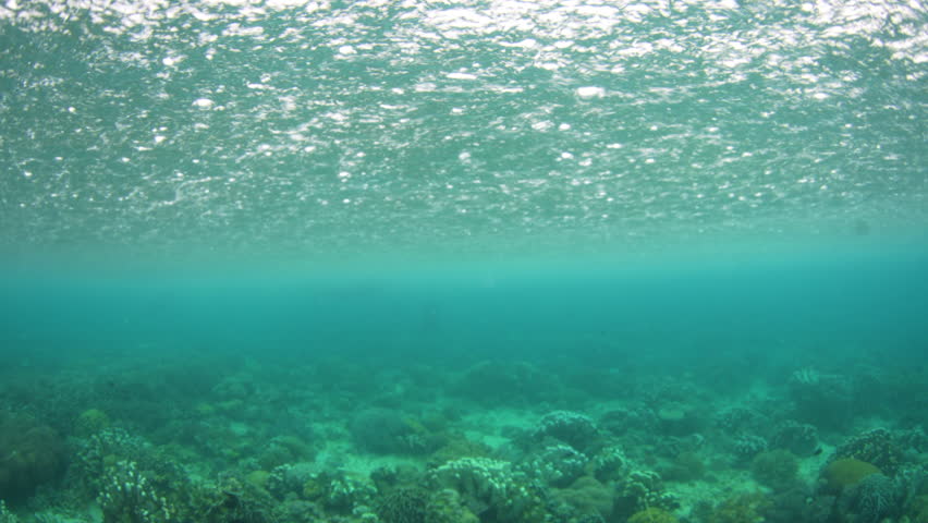 Rain falls above a reef growing in the shallows of Bangka Island, North Sulawesi, Indonesia. This region is part of the Coral Triangle and is a popular destination for scuba divers and snorkelers.