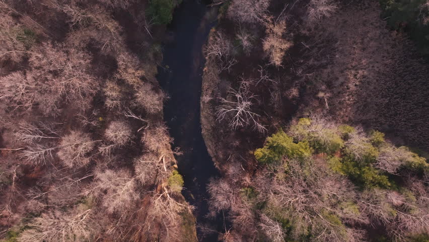 Aerial view of Bronte Creek surrounded by bare trees in early spring tranquility