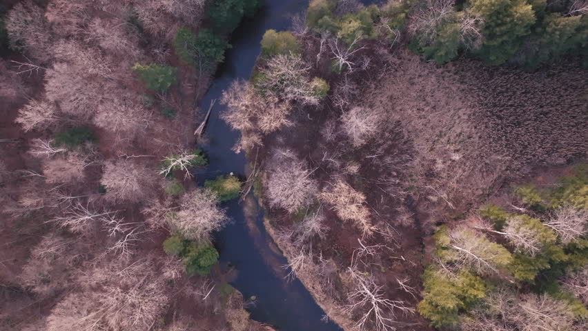 Majestic aerial view of Bronte Creek in autumn, showcasing tranquil nature