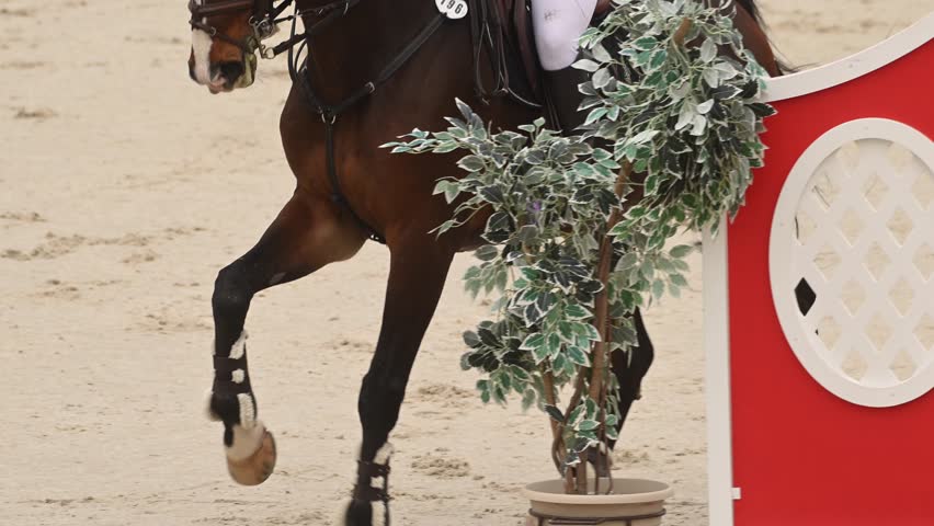 Horse executes a stunning jump in equestrian show jumping competition with skilled jockey in slow motion