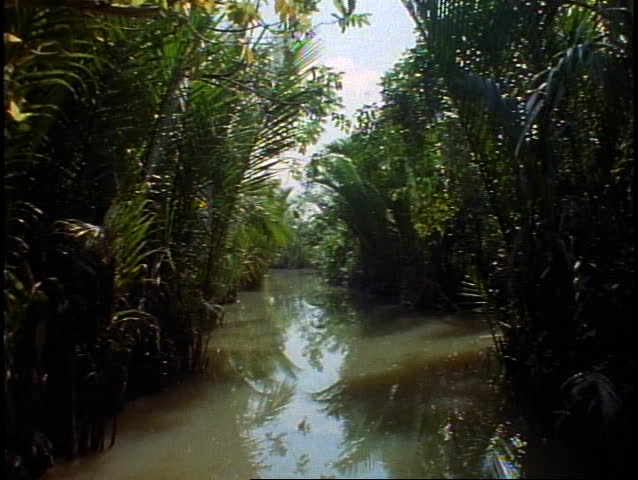 Vietnam Jungle, Small River, Canoe, Stock Footage Video (100% Royalty