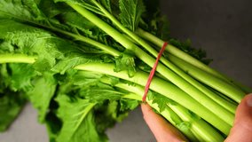 Unrecognizable hand of a woman is removing a red rubber band from a head of italian turnip greens with the intent of cooking them for the apulian dish "orecchiette con le cime di rape" - Powered by Shutterstock - Get 15% off with code: PIKWIZARD15