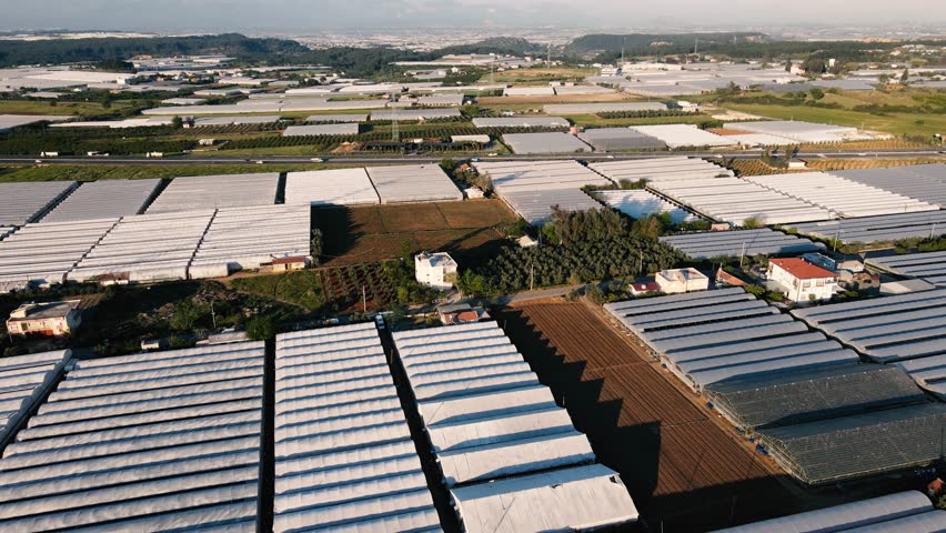 Aerial view of greenhouses in Turkey. The landscape showcases eco-friendly industrial vegetable cultivation. Rows of plastic-roofed greenhouses highlight geometric precision and large-scale production