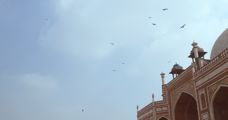 New Delhi, Delhi, India. Birds flying around of Humayun