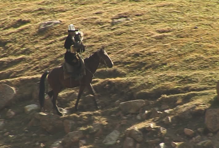 The Rider on horse.