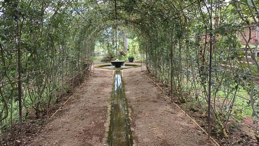 rose flower plant tunnel and fountain in garden park