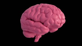 Pink human brain rotating on black background - Powered by Shutterstock - Get 15% off with code: PIKWIZARD15