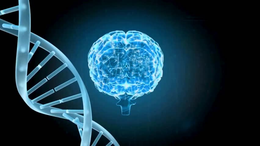Animation of digital data processing, human brain over dna strand spinning. Global science, connections, computing and data processing concept digitally generated video. - Powered by Shutterstock - Get 15% off with code: PIKWIZARD15