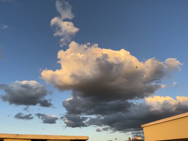 Birds flying in the sky with beautiful clouds