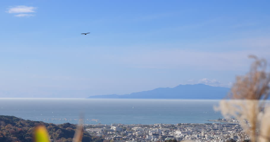 Residential area and sea seen from the top of a mountain in Kamakura