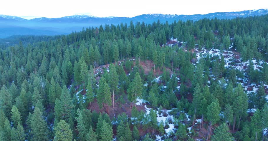 Aerial Drone Idaho City Scenic Hills and Trees
