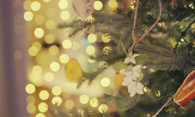 Christmas tree close up look with cinematic tone