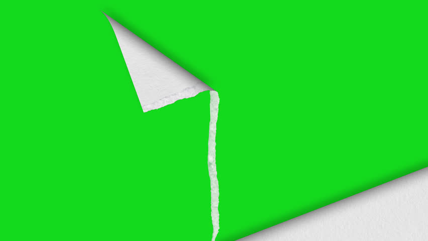 Shutterstock Video